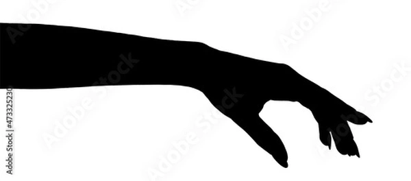 Fototapeta silhouette of a hand  isolated white background showing  gesture holds something or takes, gives.  hands showing different gestures