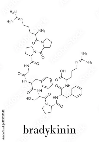 Obraz Bradykinin peptide molecule. Skeletal formula.