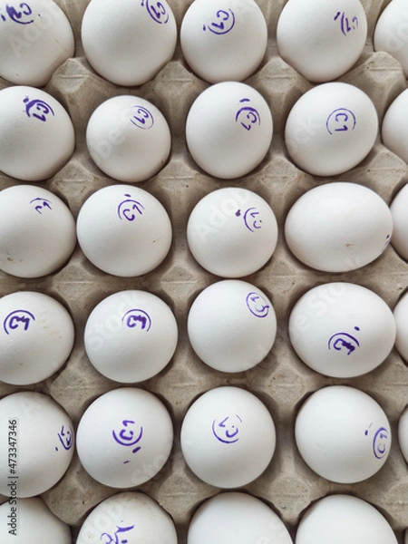 Obraz Chicken eggs in packaging on the display case 