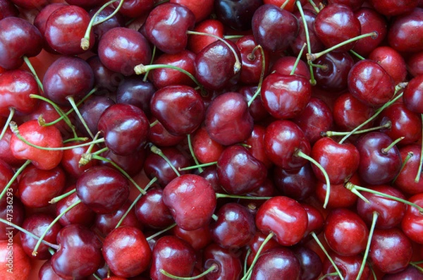 Obraz Sweet cherries background