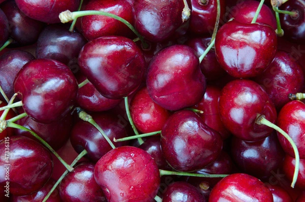 Obraz Sweet cherries background