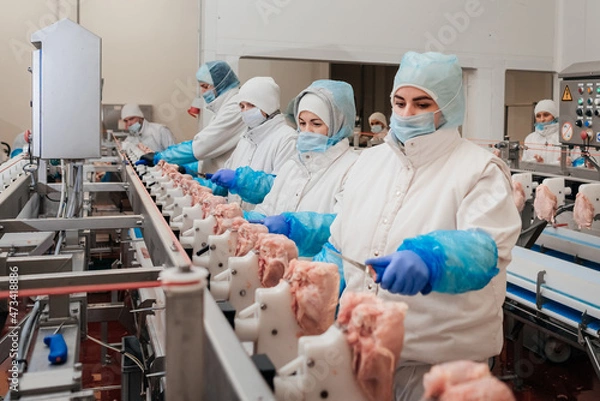 Obraz Meat processing plant.People working at a chicken factory - stock photo.Automated production line in modern food factory.