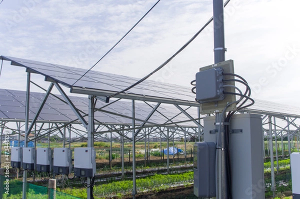 Obraz ソーラーパネル