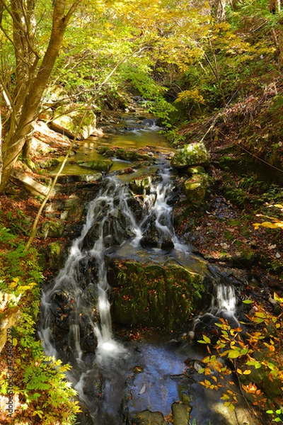 Fototapeta 紅葉風景の「源氏の滝」。　日本宮城県気仙沼市。
