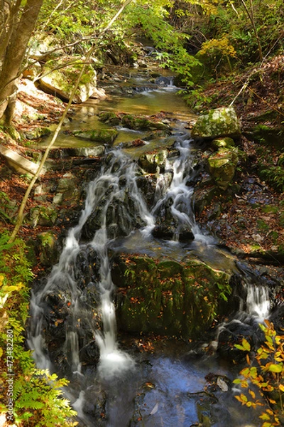 Fototapeta 紅葉風景の「源氏の滝」。　日本宮城県気仙沼市。