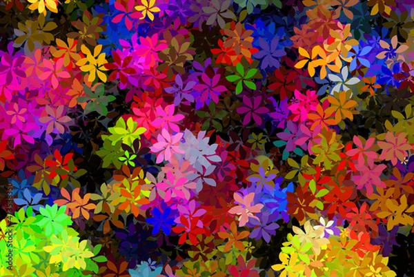 Obraz many different multicolored open flowers background