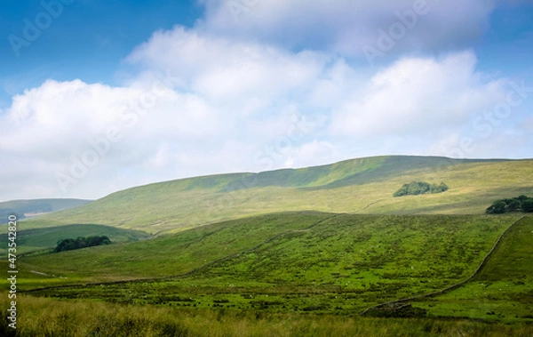 Obraz Yorkshire Dales