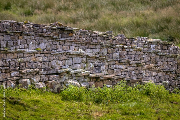 Obraz drystone wall
