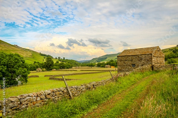 Obraz dales landscape