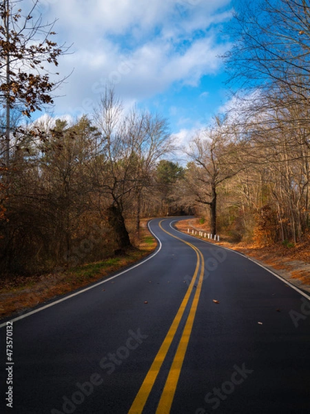 Fototapeta Empty curved road in the forest with the view of bare trees, cloudy blue sky, and clear dividing lines on the asphalt.