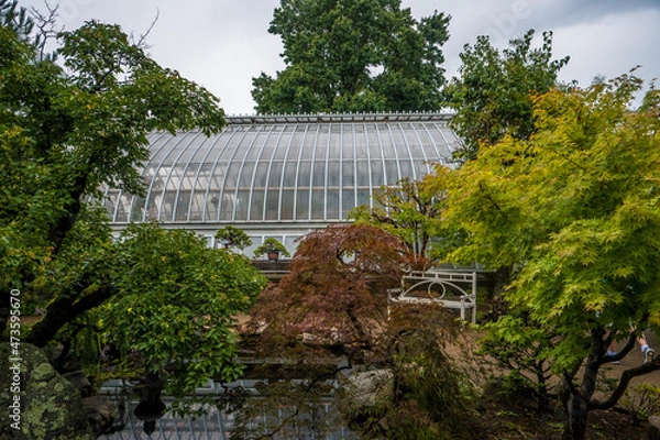Obraz dam in the park