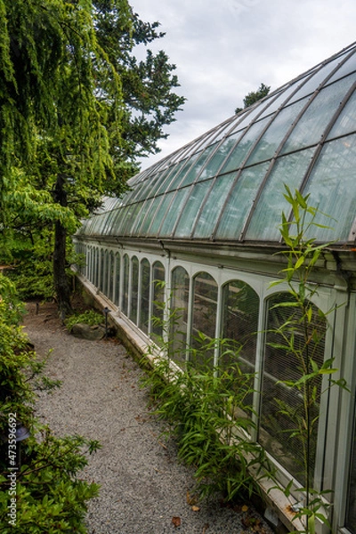 Obraz greenhouse with plants