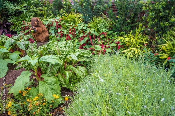 Obraz grass and flowers