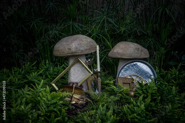 Obraz mushroom in the forest