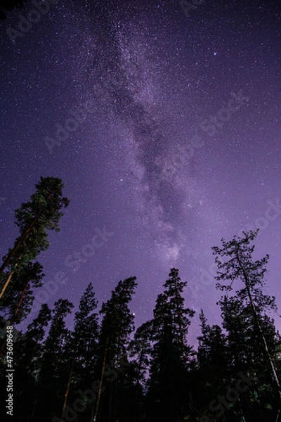 Fototapeta night sky timelapse