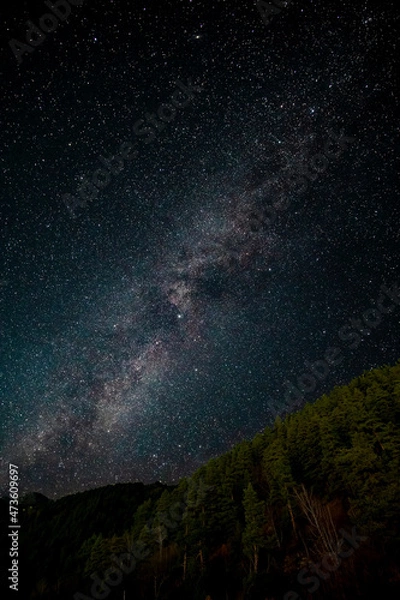 Fototapeta starry night sky