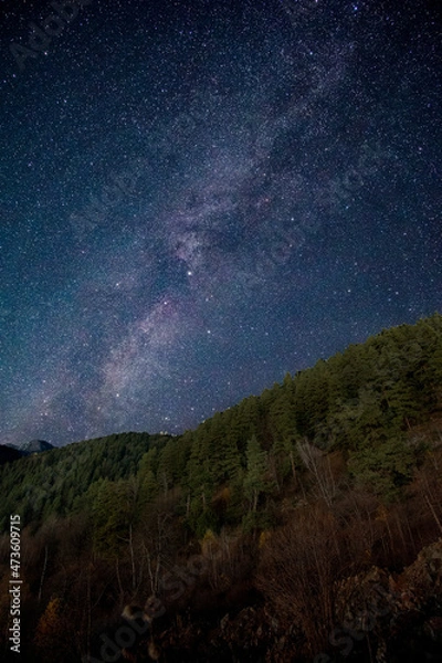 Fototapeta starry night sky