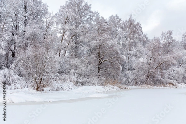 Fototapeta Winter snowy landscape with lake, trees, branches with show, ice and cold weather