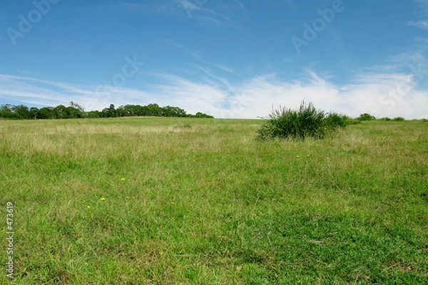 Obraz perfect pasture