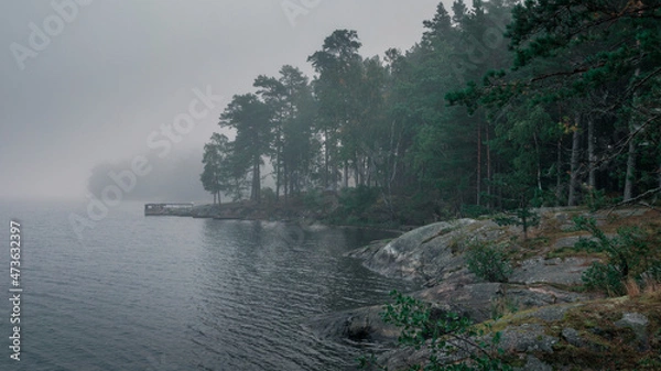 Fototapeta Lakeshore with forest in moody morning mist near Tyresta National Park in Sweden.