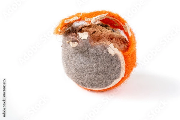 Fototapeta A tennis ball or a chewed up dog toy on a white background.
