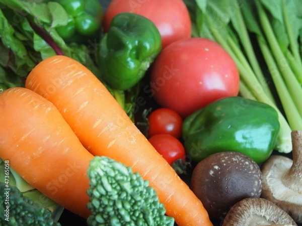 Obraz 野菜集合