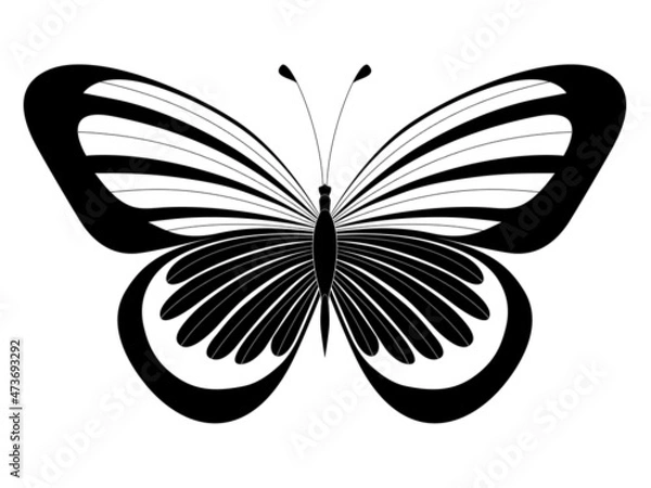 Fototapeta Butterfly. Stylized vector. Set of black and white insects. Abstract butterflies silhouettes isolated on white background for use as design elements or logo. Coloring book page
