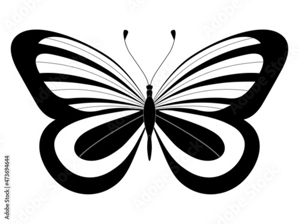 Obraz Butterfly. Stylized vector. Set of black and white insects. Abstract butterflies silhouettes isolated on white background for use as design elements or logo. Coloring book page