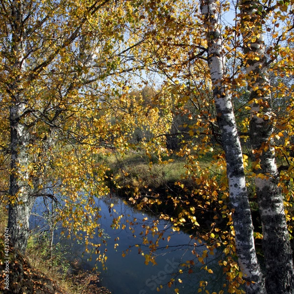 Obraz autumn in the park