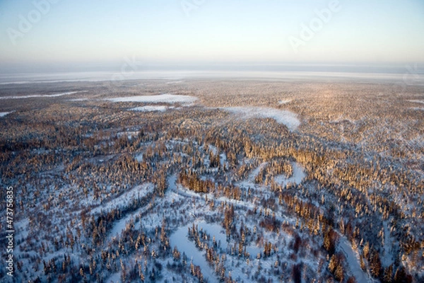 Obraz landscape with snow