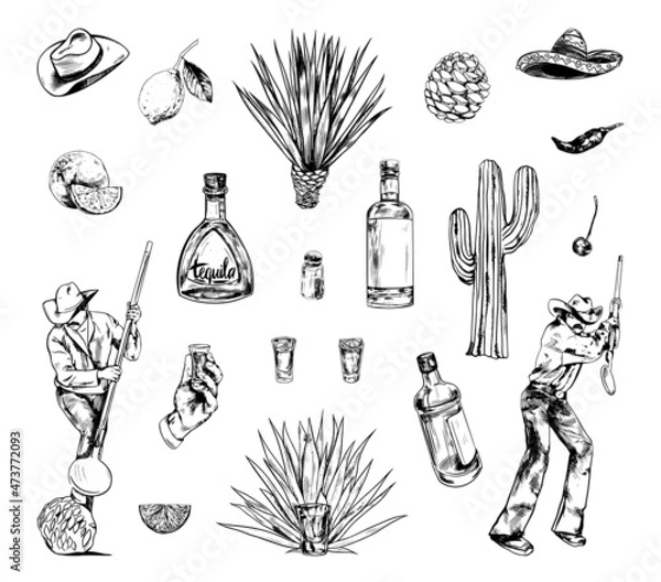 Fototapeta Collection of monochrome illustrations of tequila production in sketch style. Hand drawings in art ink style. Black and white graphics.