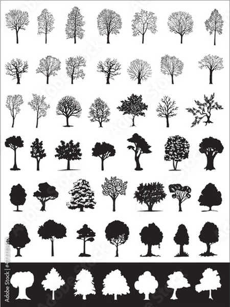 Obraz Trees, vector collection