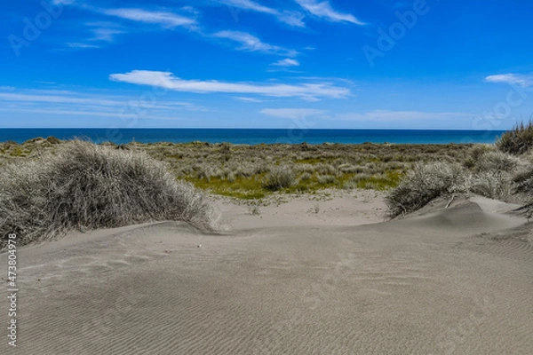 Obraz dunes in the sand