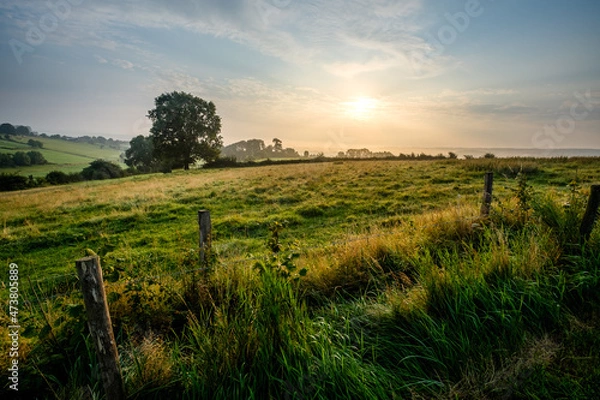 Obraz Hills with fields and tree