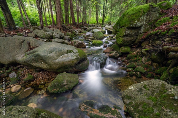 Obraz Mountain stream with stones with clear water