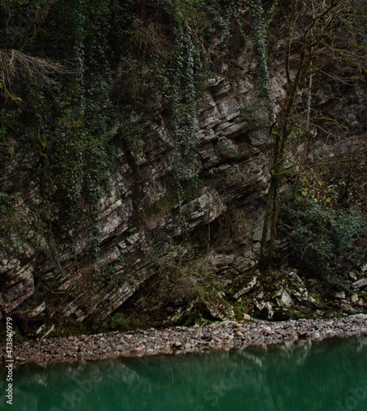 Obraz river in the woods