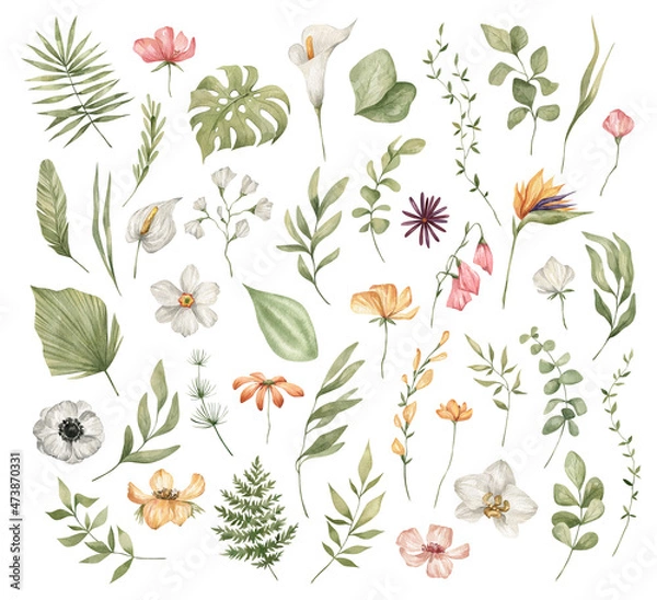 Fototapeta Watercolor set of bright tropical leaves and flowers. Leaves and branches from the jungle. Palm leaf, monstera, grass, orchid, strelitzia. Summer botany, natural elements. Bright wildflowers and twigs
