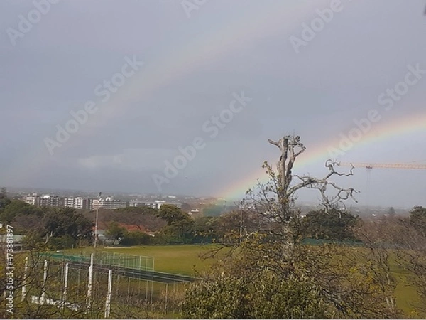 Obraz rainbow over the city