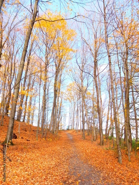 Obraz Fall in Vermont