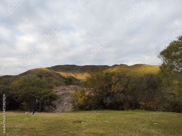 Fototapeta course in the morning