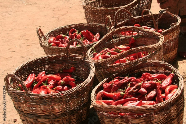 Fototapeta Baskets of Chile Peppers (Capsicum annuum)