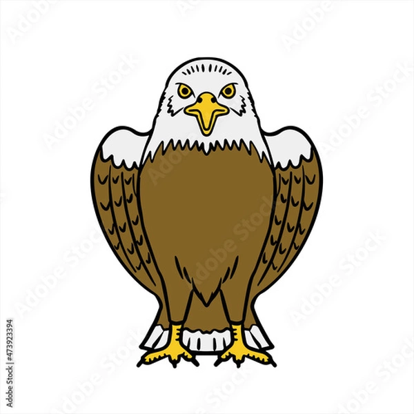 Obraz Bald Eagle