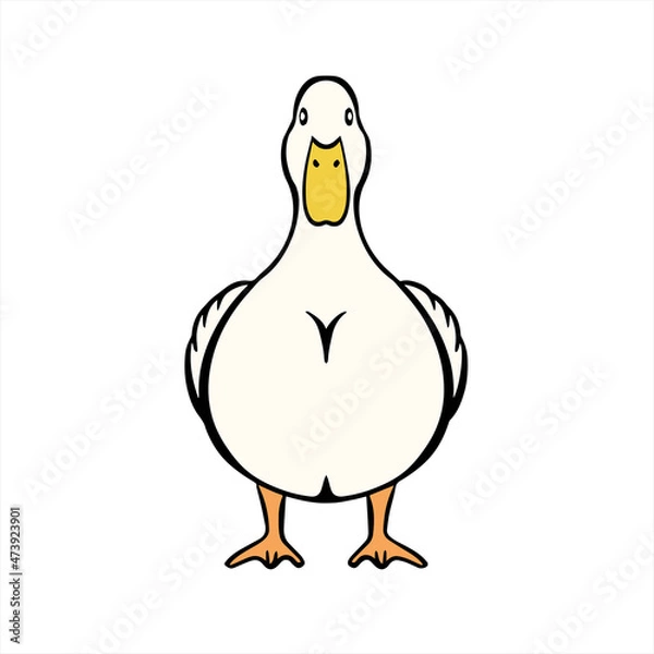 Obraz Duck