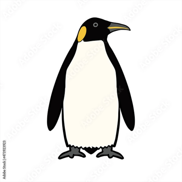 Obraz Emperor Penguin