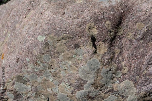 Fototapeta close-up of a stone in a forest with a natural texture. a small crack in the stone.  Closeup blurred stone background texture.