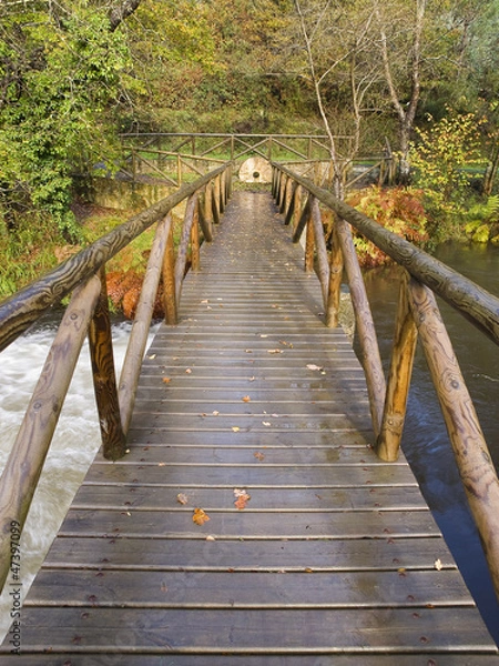 Fototapeta OLYMPUS DIGITAL CAMERA