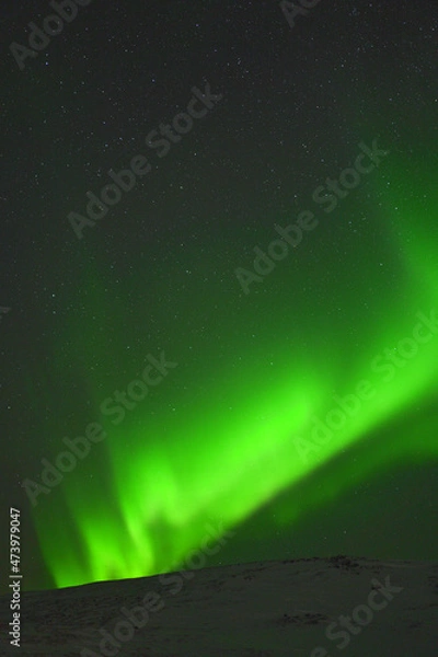 Obraz aurora borealis in the sky