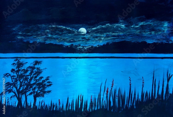 Obraz Moonlit Lake