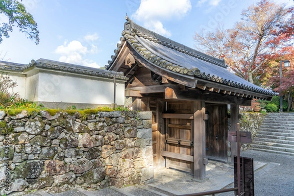 Fototapeta 三千院