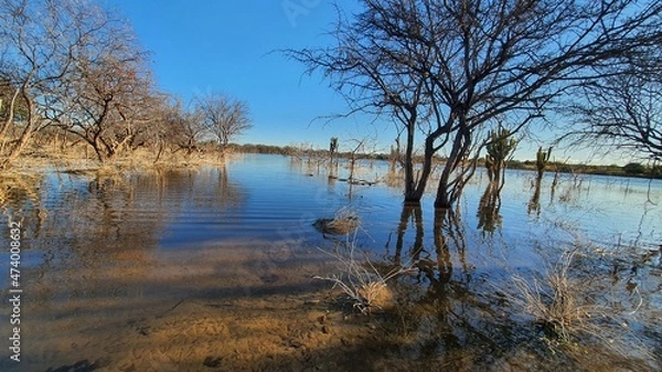 Obraz reflection in the water
